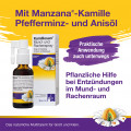 KAMILLOSAN Mund- und Rachenspray
