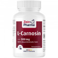 L-CARNOSIN 500 mg Kapseln